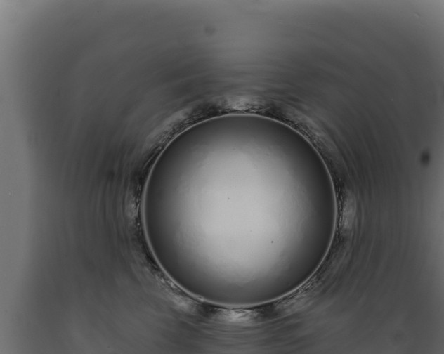 X0000089940569200707061102