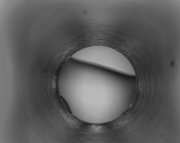 X0000089940570200707061102