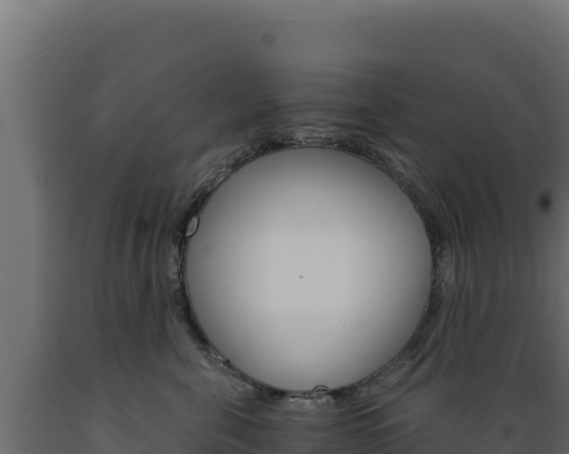 X0000089940571200707061102