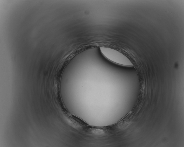 X0000089940572200707061102