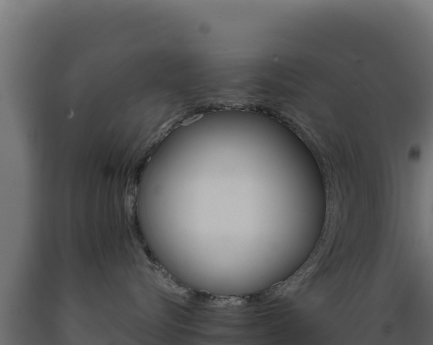 X0000089940576200707061102