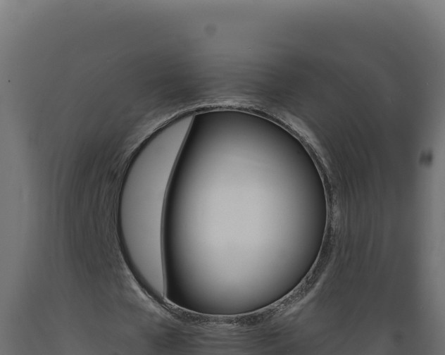 X0000089940577200707061102