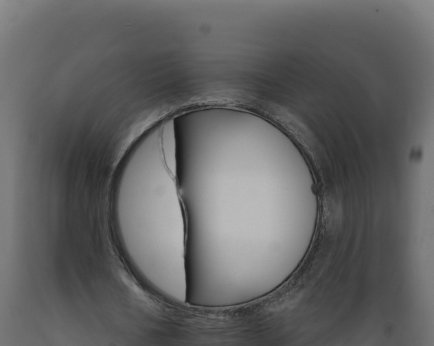 X0000089940578200707061102