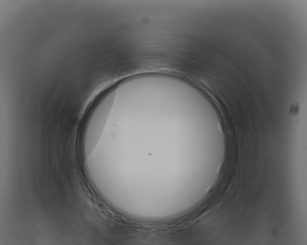 X0000089940579200707061102