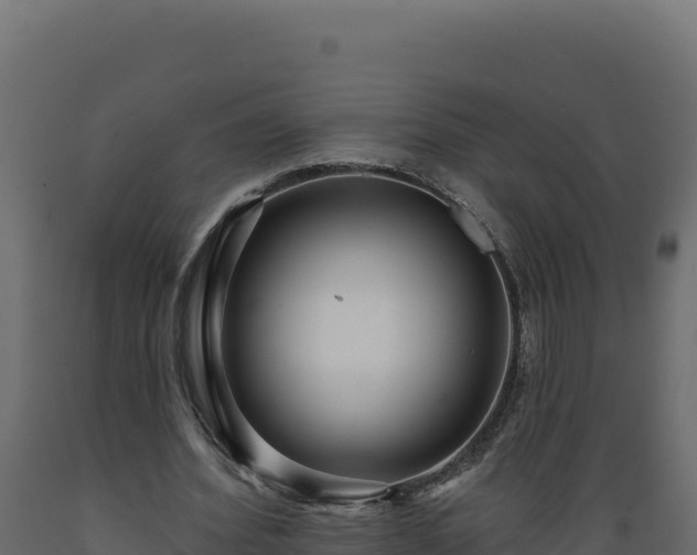 X0000089940580200707061102