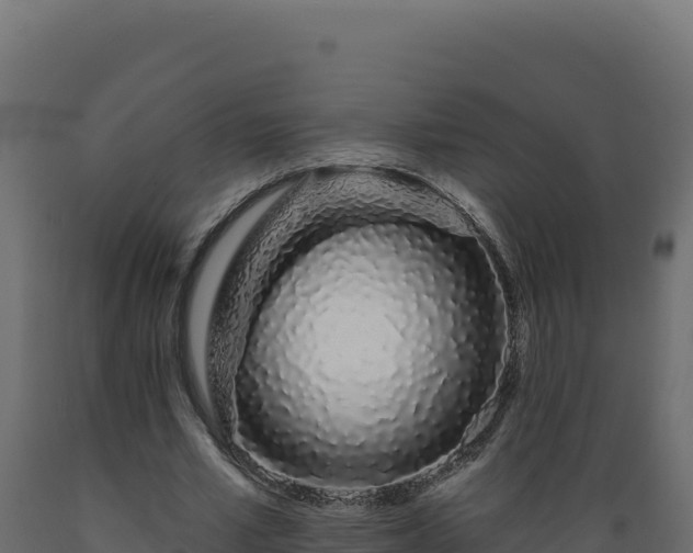 X0000089940581200707061102