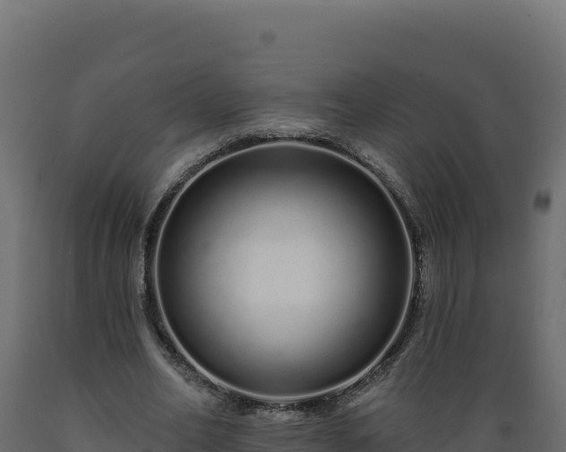 X0000089940582200707061102