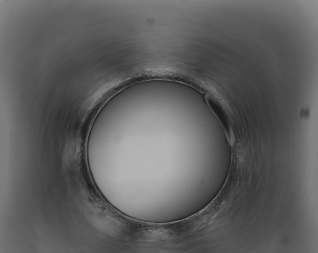 X0000089940583200707061102