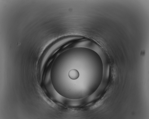 X0000089940584200707061102