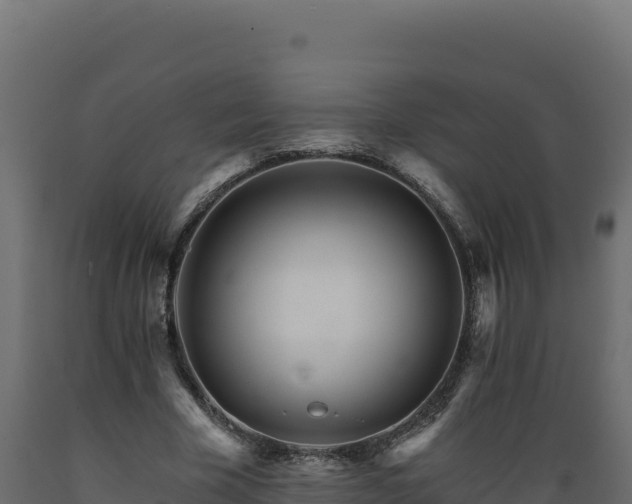 X0000089940585200707061102