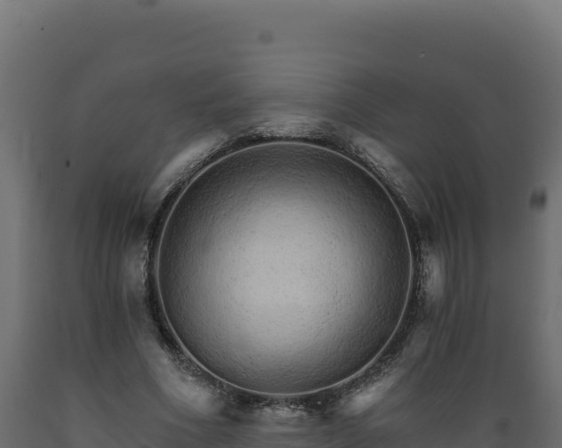 X0000089940586200707061102