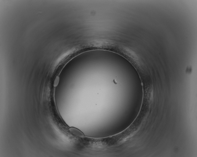 X0000089940587200707061102