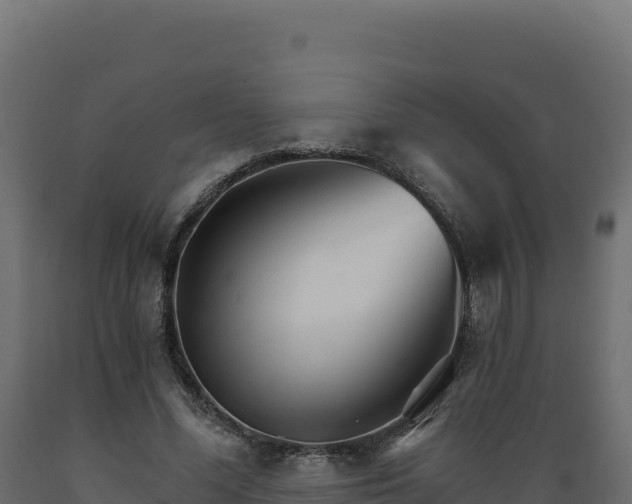 X0000089940588200707061102