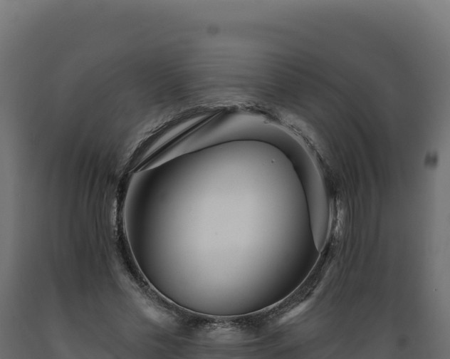 X0000089940589200707061102