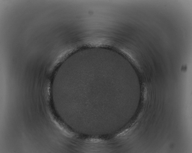 X0000089940590200707061102