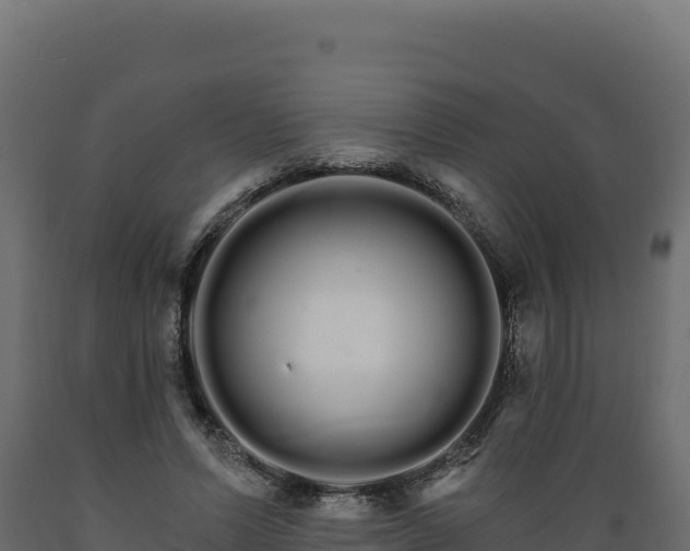 X0000089940591200707061102