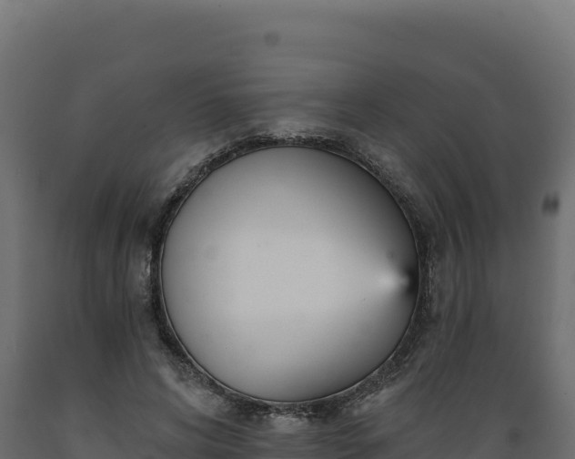 X0000089940592200707061102