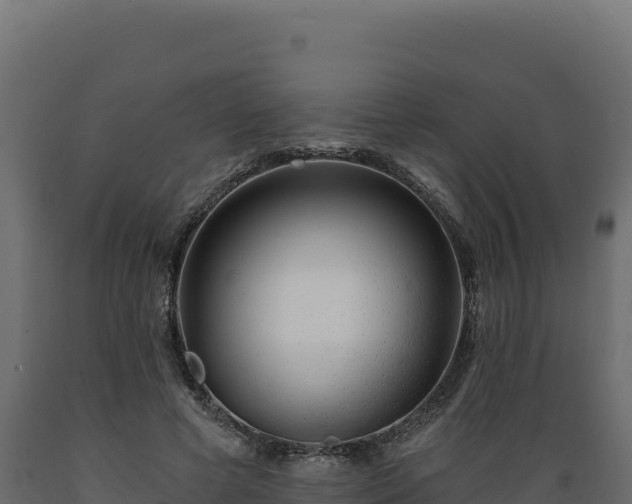 X0000089940593200707061102