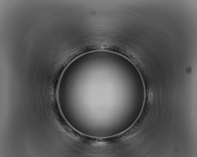 X0000089940594200707061102