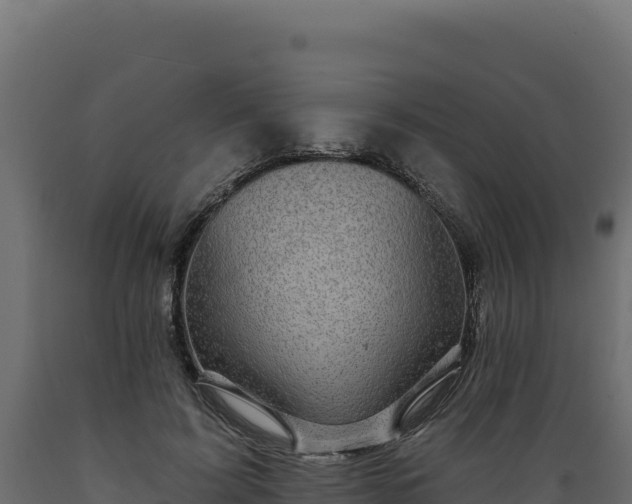 X0000089940595200707061102