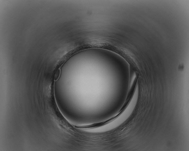 X0000089940596200707061102