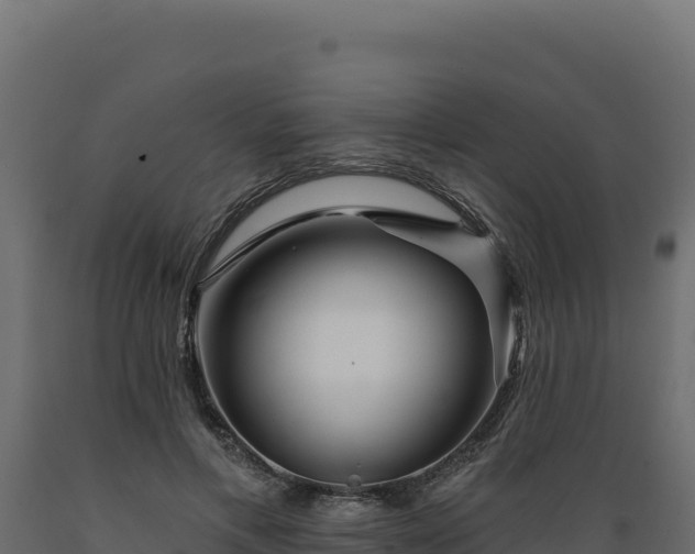 X0000089940597200707061102