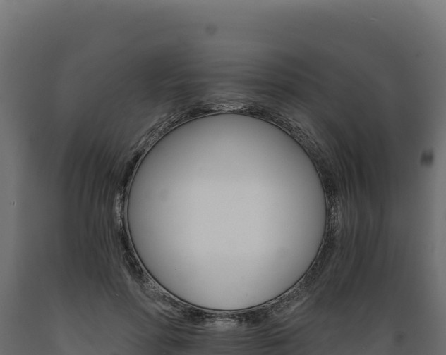 X0000089940598200707061101