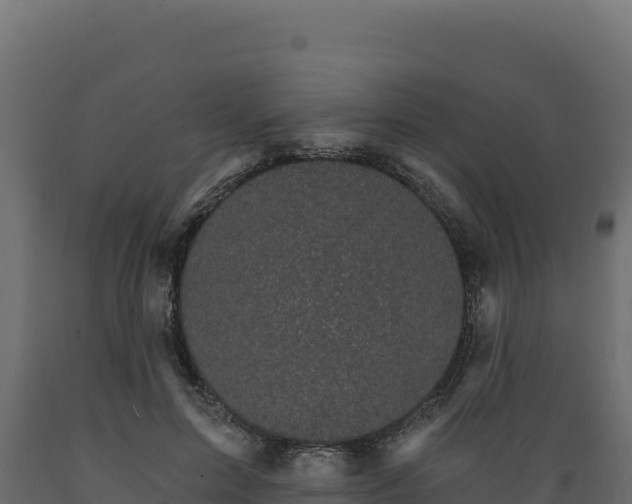 X0000089940599200707061101