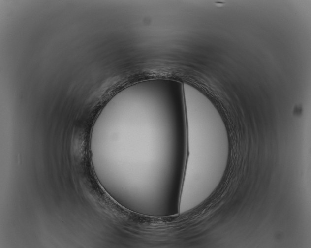 X0000089940600200707061101