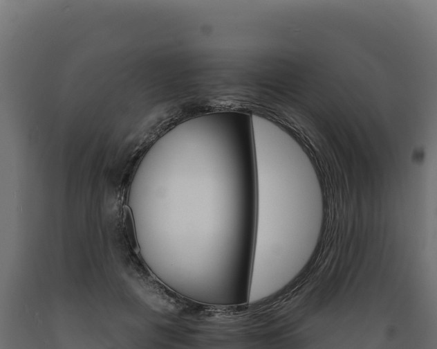 X0000089940601200707061101