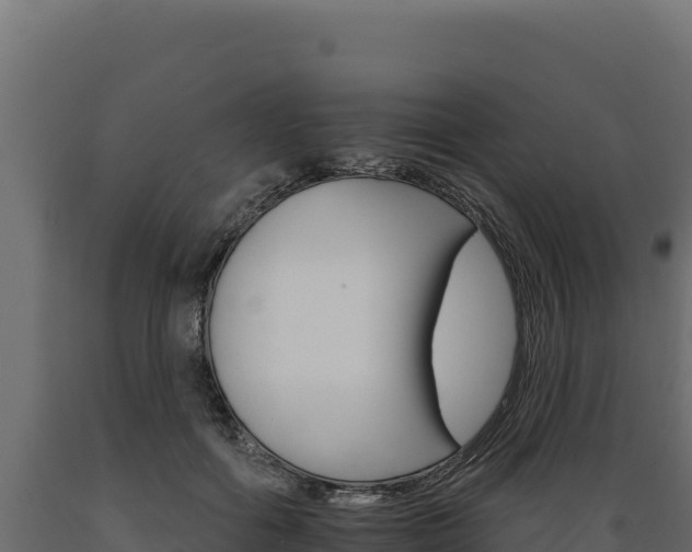 X0000089940602200707061101