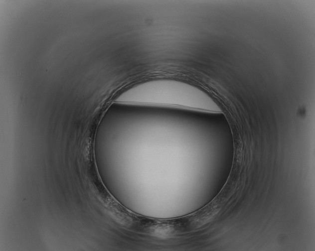 X0000089940604200707061101