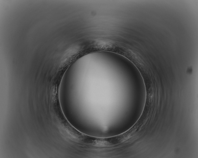 X0000089940605200707061101