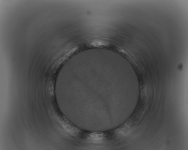 X0000089940606200707061101