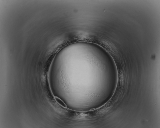 X0000089940607200707061101