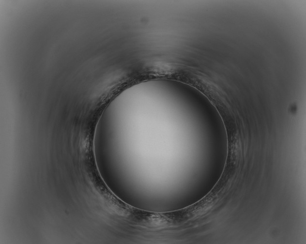 X0000089940608200707061101