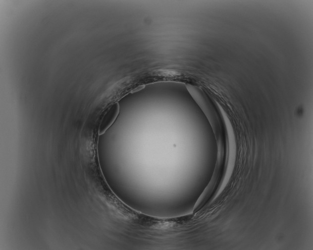 X0000089940609200707061101