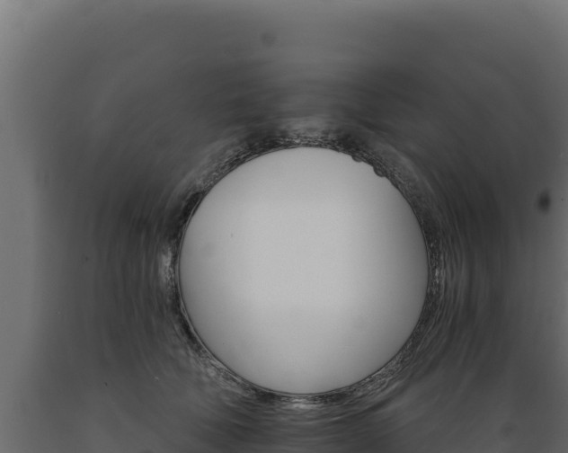 X0000089940610200707061101