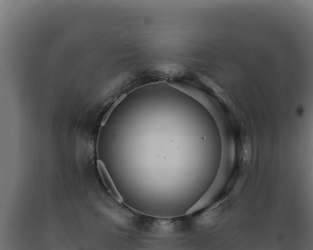 X0000089940613200707061101