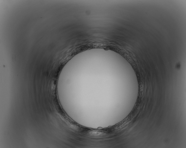 X0000089940614200707061101