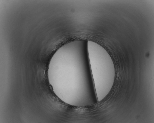 X0000089940615200707061101