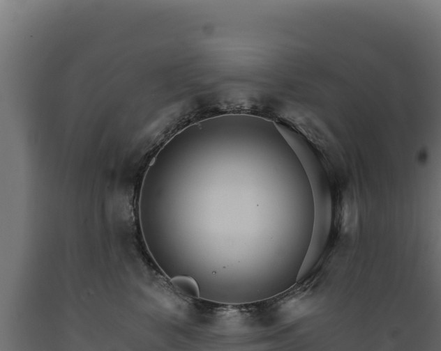 X0000089940616200707061101