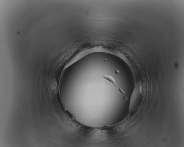 X0000089940617200707061101