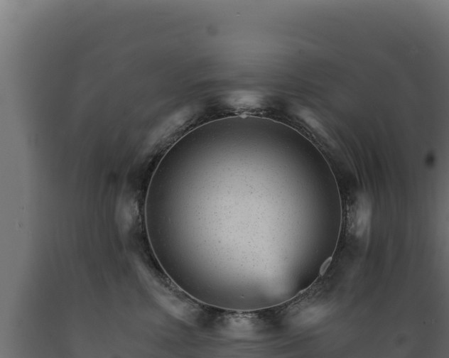 X0000089940618200707061101