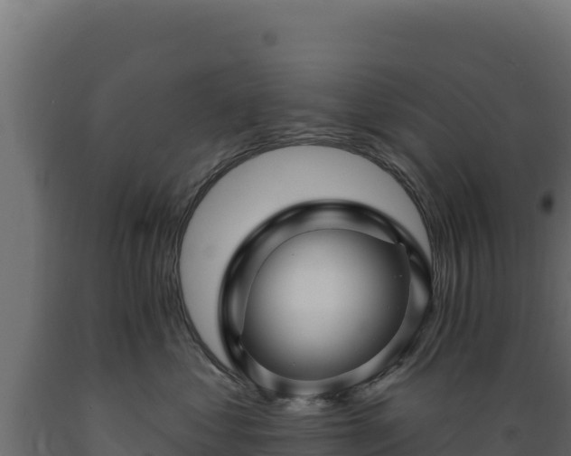 X0000089940621200707061101