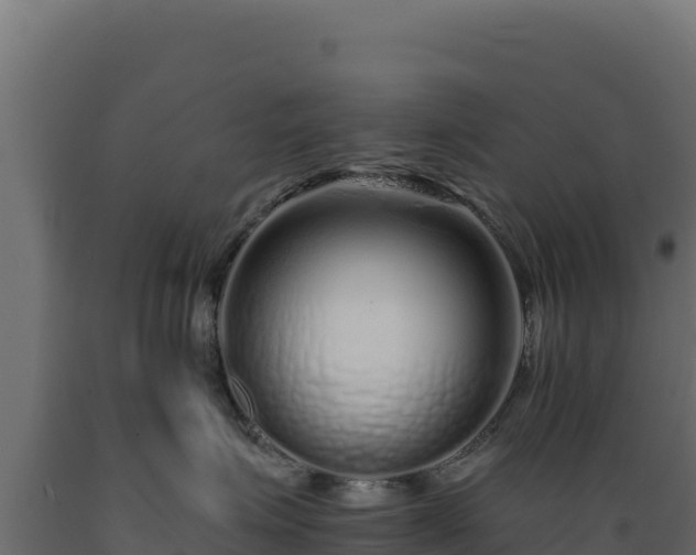 X0000089940623200707061101