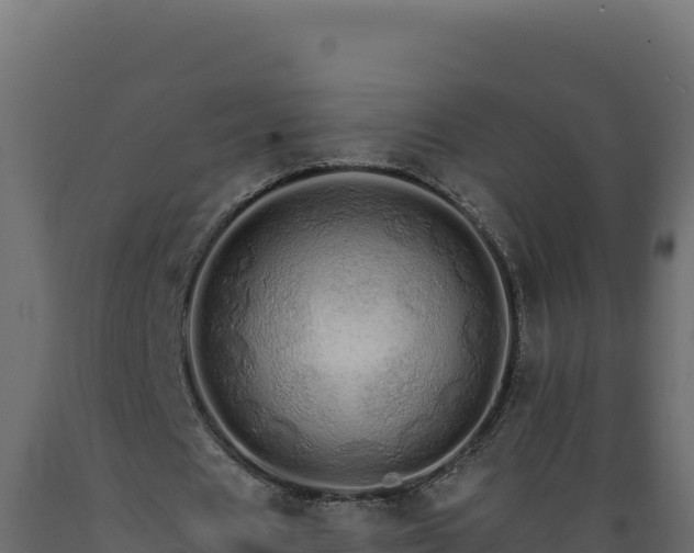 X0000089940625200707061101