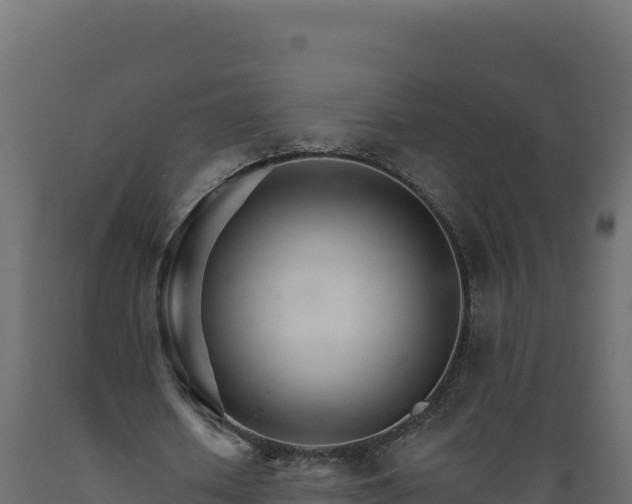 X0000089940626200707061101