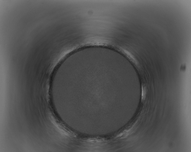 X0000089940627200707061101