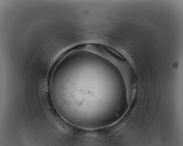 X0000089940628200707061101